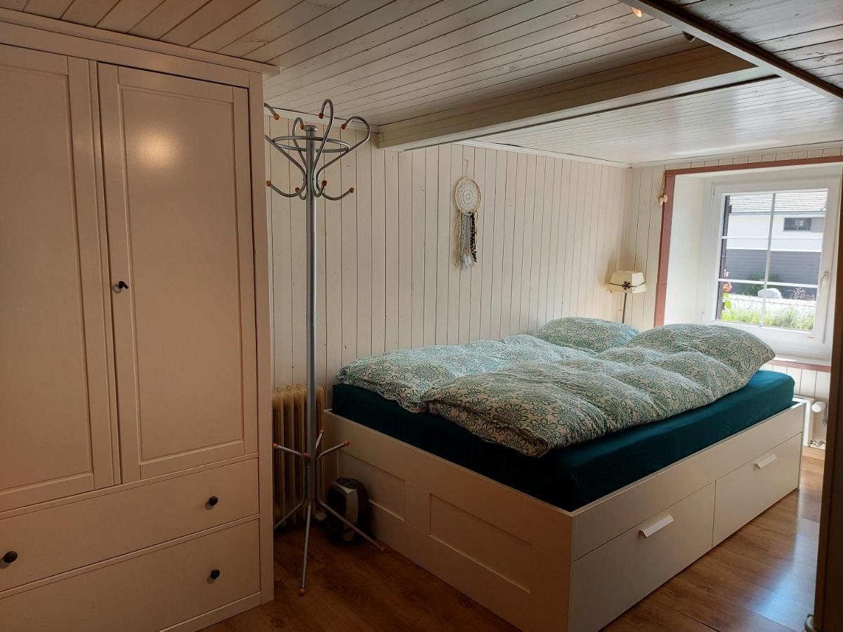 Appartement Voute En Gruyere Dans L'Intyamon Enney Buitenkant foto