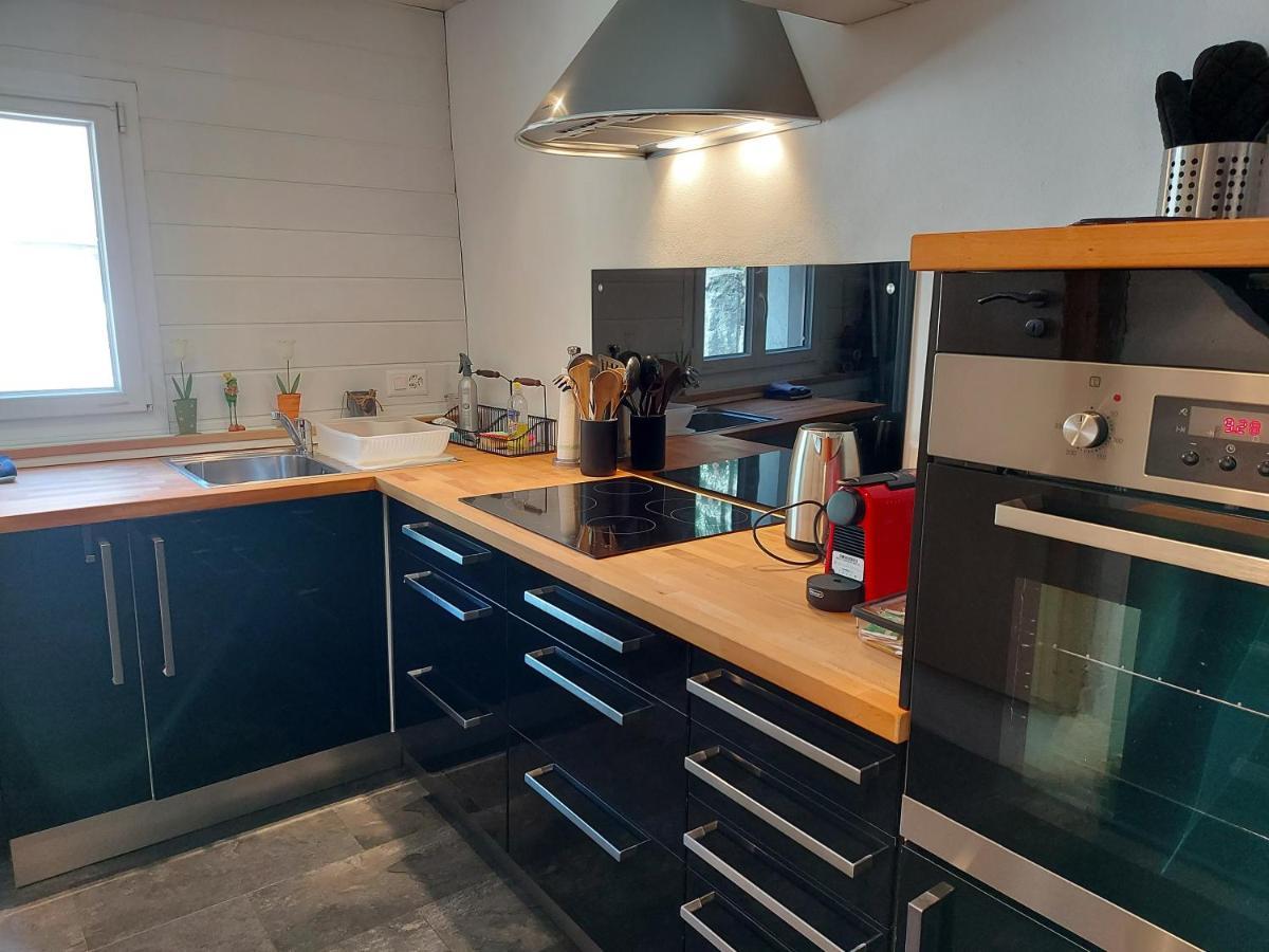Appartement Voute En Gruyere Dans L'Intyamon Enney Buitenkant foto